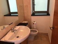 The Serenade @ Holland (D10), Condominium #173223882